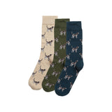 Pointer Dog Socks Gift Box