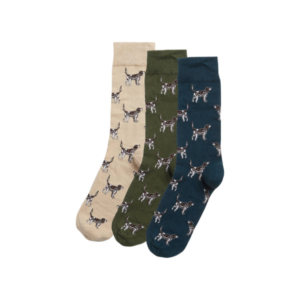 Pointer Dog Socks Gift Box